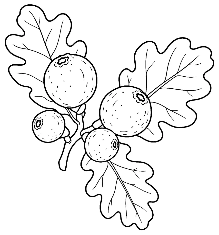 Coloriage de Cécidie : dessin au trait noir à colorier