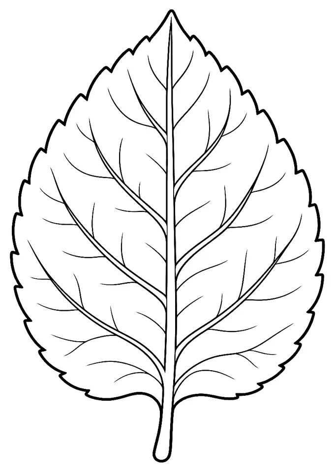 Coloriage de Chlorose : dessin au trait noir à colorier