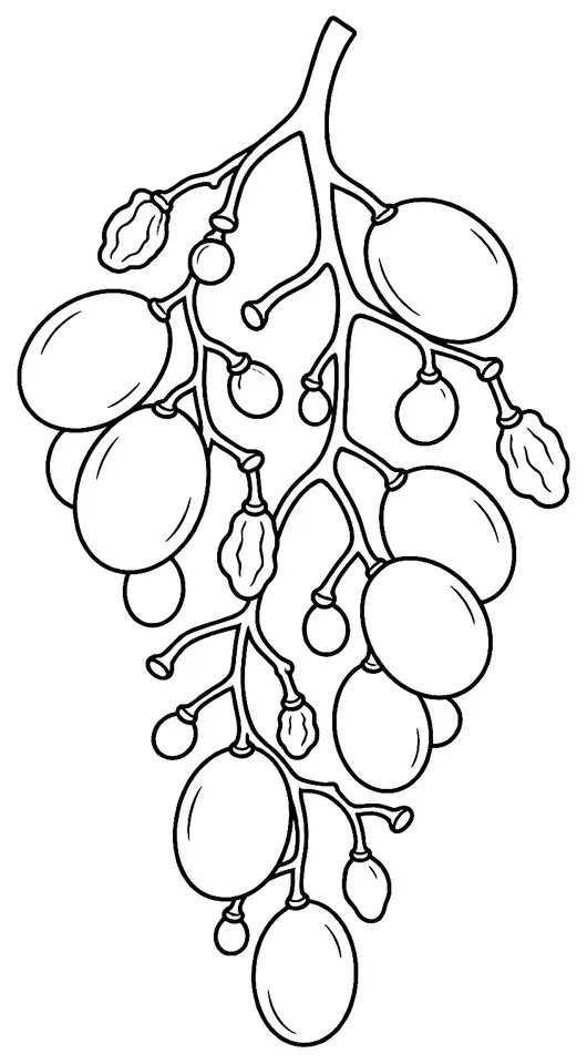 Coloriage de Coulure : dessin au trait noir à colorier