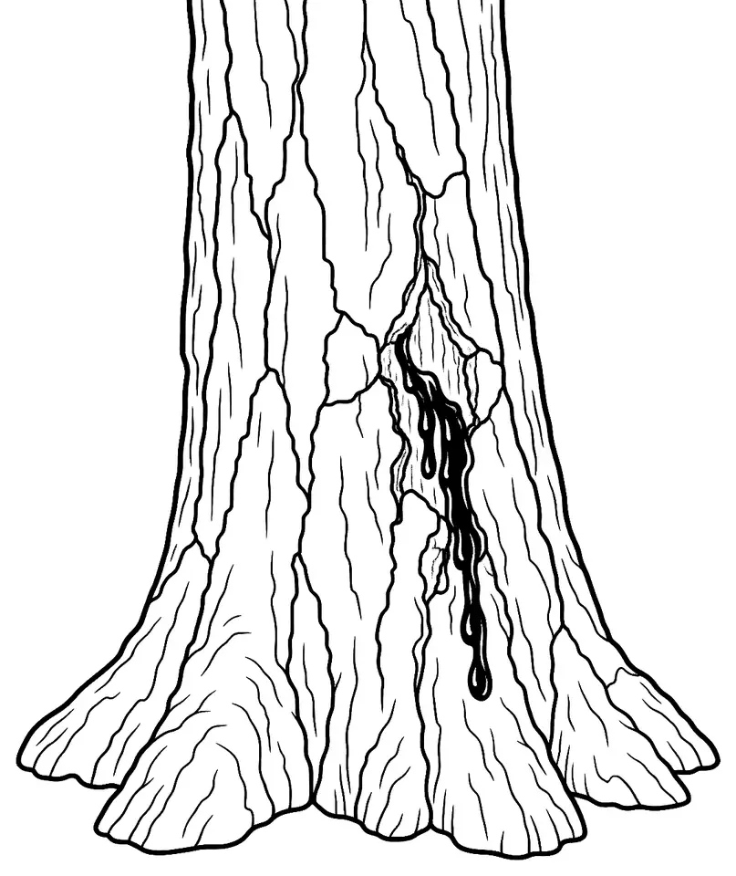 Coloriage de Encre du châtaignier : dessin au trait noir à colorier
