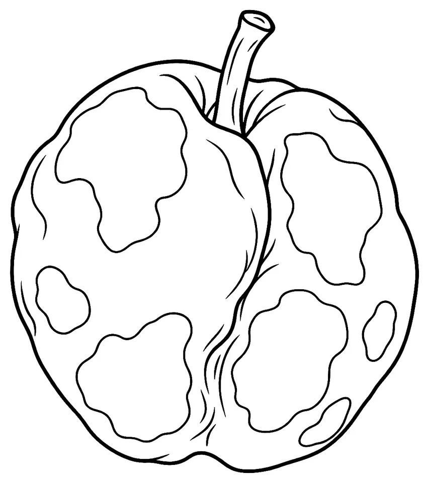 Coloriage de Sharka : dessin au trait noir à colorier