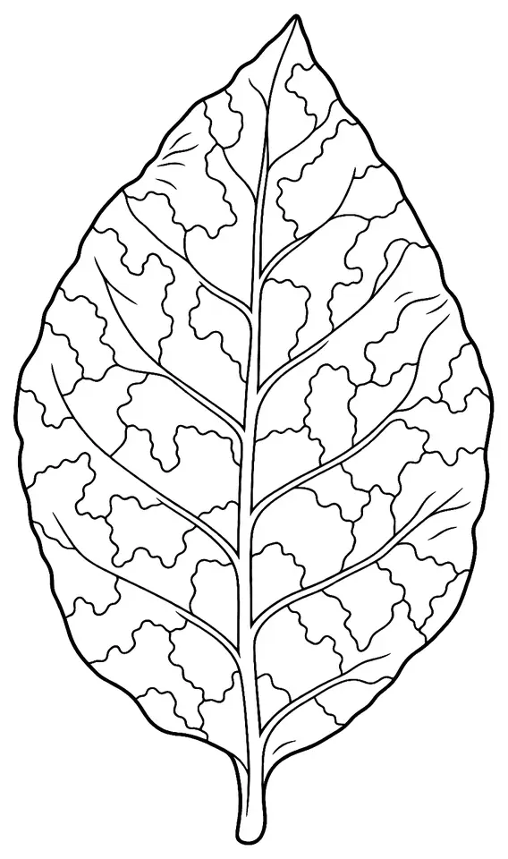 Coloriage de Virus de la mosaïque du tabac : dessin au trait noir à colorier