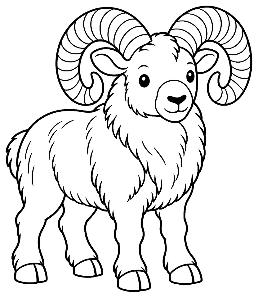 Coloriage de Mouflon méditerranéen (mammifère) : dessin au trait noir à colorier