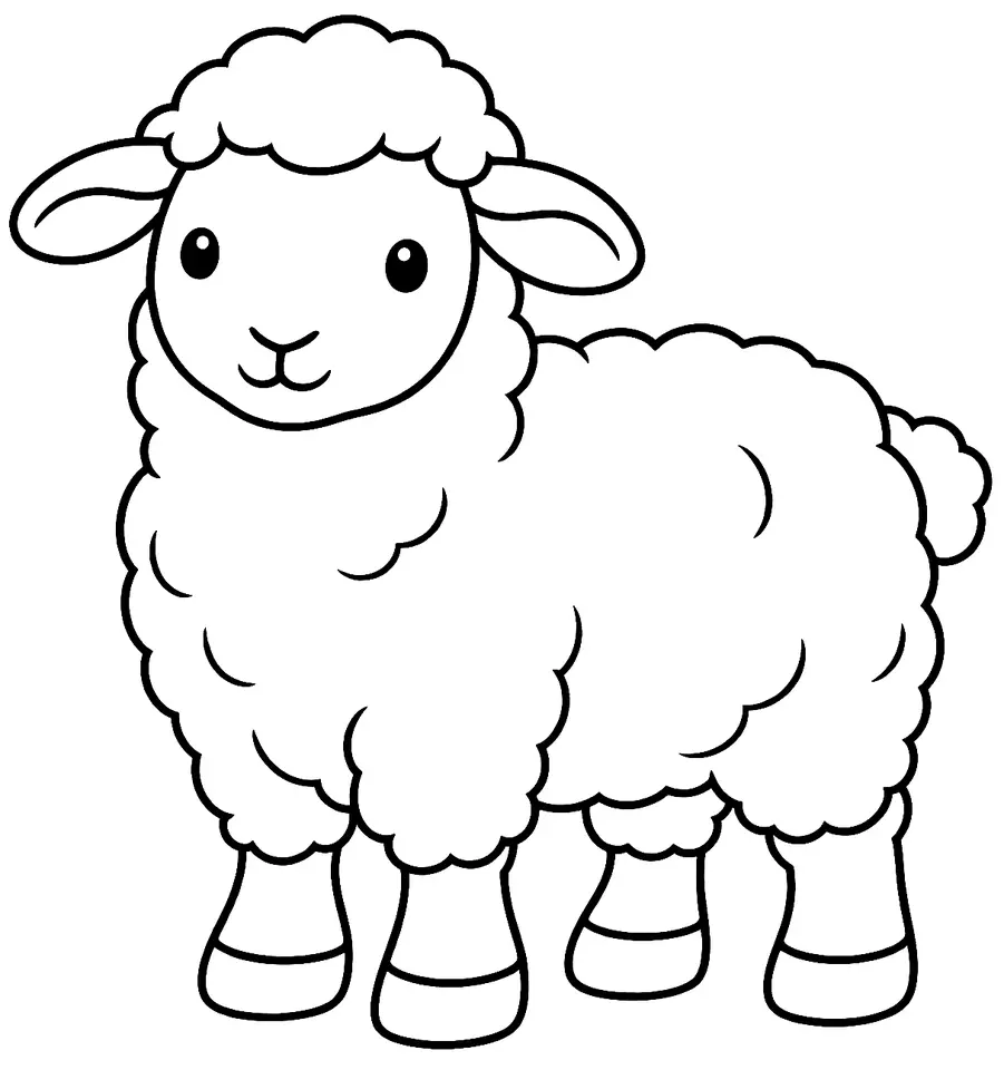 Coloriage de Mouton de Santa Cruz : dessin au trait noir à colorier