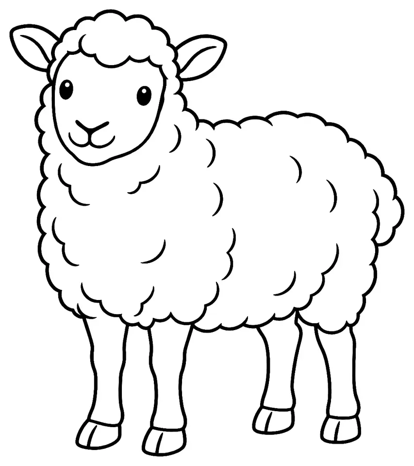 Coloriage de Shetland (mouton) : dessin au trait noir à colorier