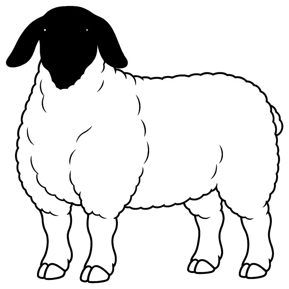 Coloriage de Suffolk : dessin au trait noir à colorier