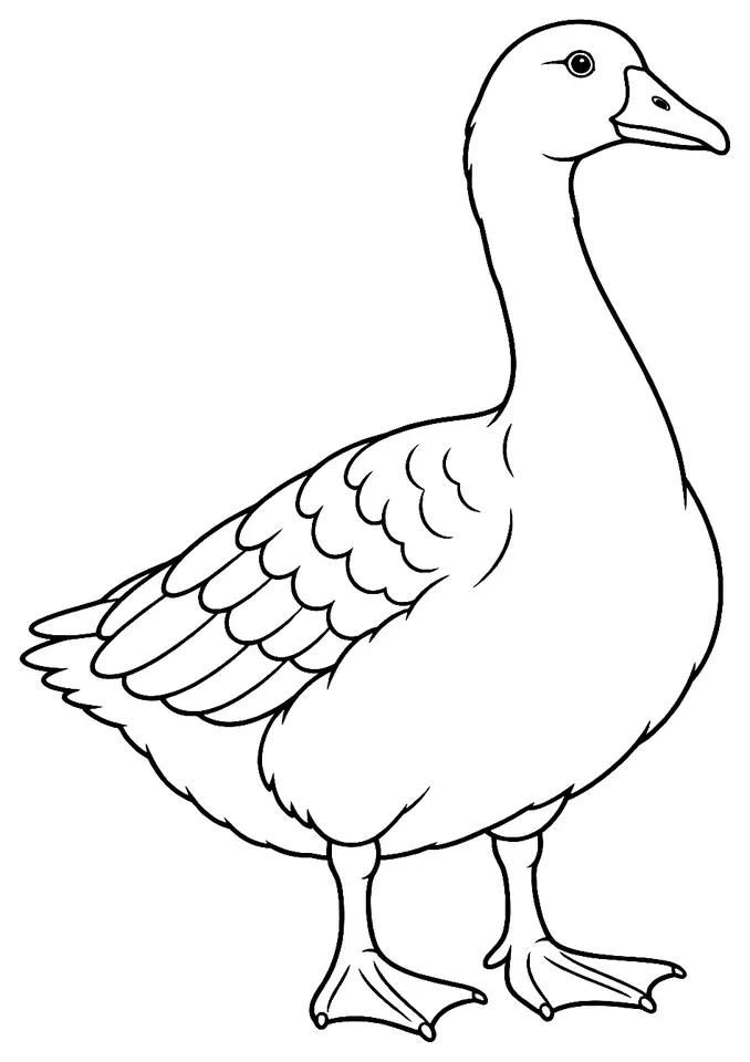 Coloriage de Oie d’Öland : dessin au trait noir à colorier