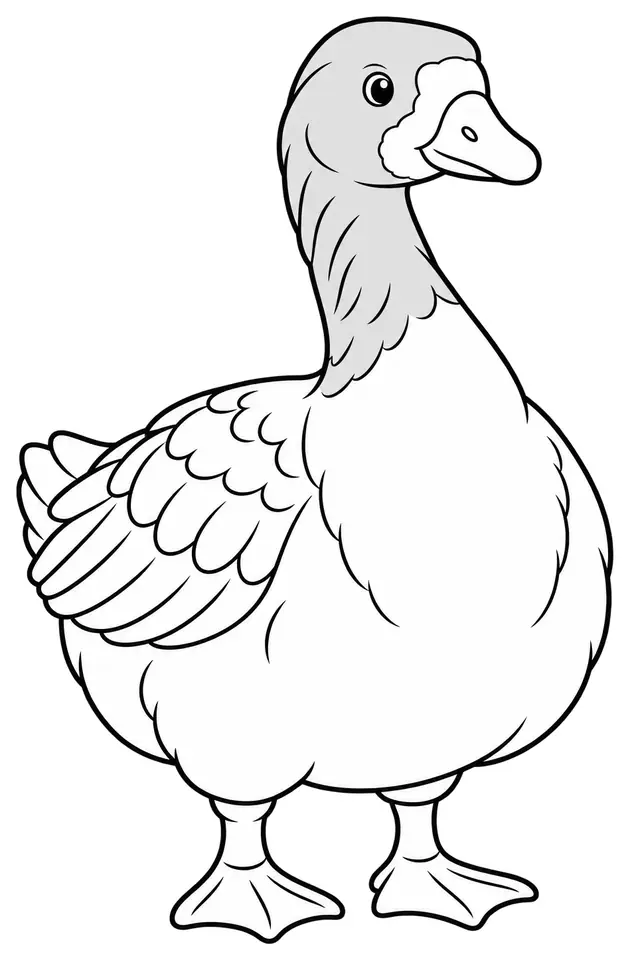 Coloriage de Oie de Poméranie : dessin au trait noir à colorier