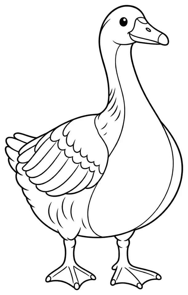 Coloriage de Oie grise de Padoue : dessin au trait noir à colorier