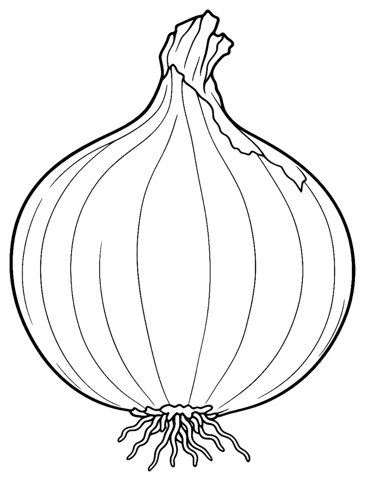 Coloriage de Oignon blanc : dessin au trait noir à colorier