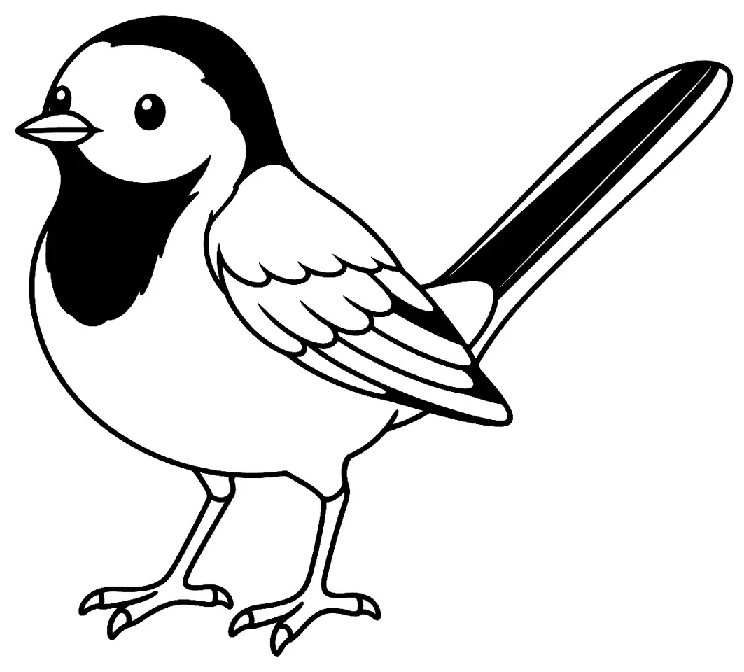Coloriage de Bergeronnette grise : dessin au trait noir à colorier