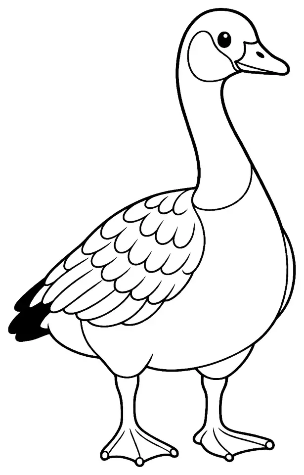 Coloriage de Bernache du Canada : dessin au trait noir à colorier