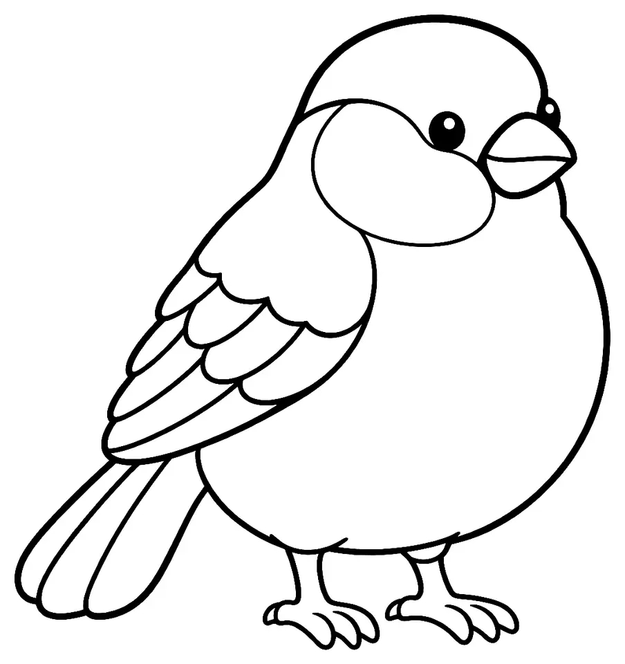 Coloriage de Bouvreuil pivoine : dessin au trait noir à colorier