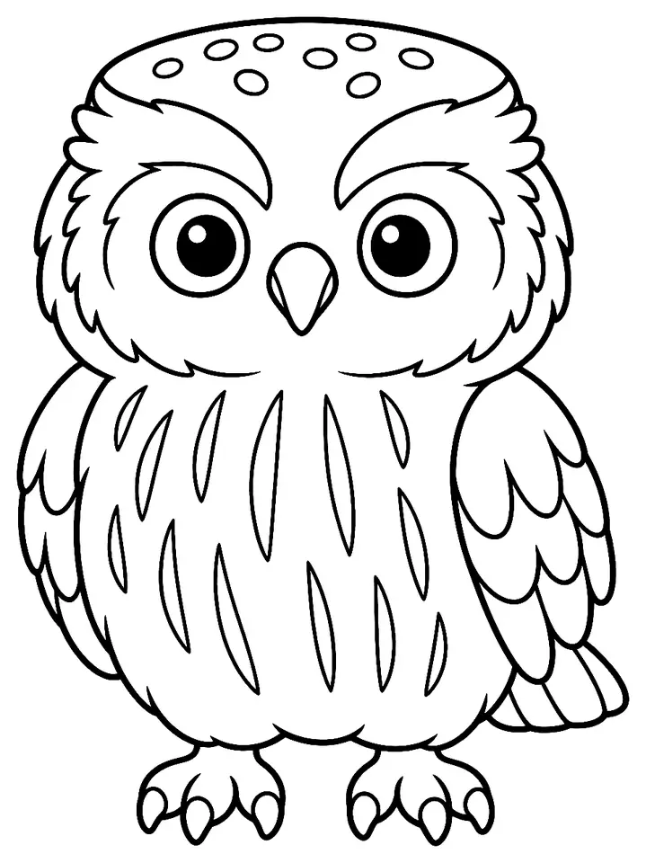 Coloriage de Chevêche d’Athéna : dessin au trait noir à colorier
