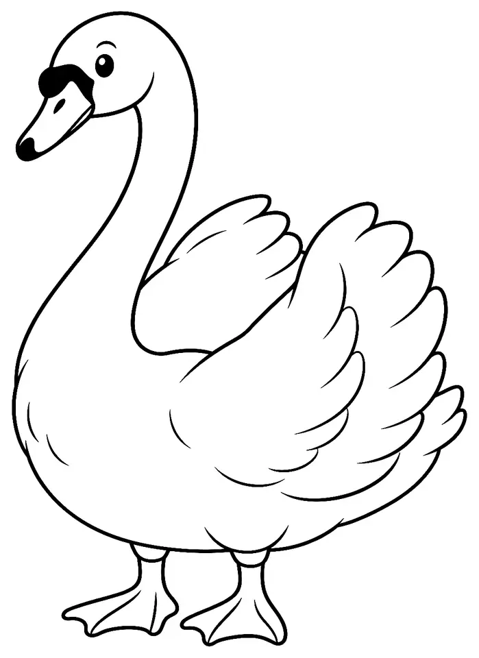 Coloriage de Cygne tuberculé : dessin au trait noir à colorier