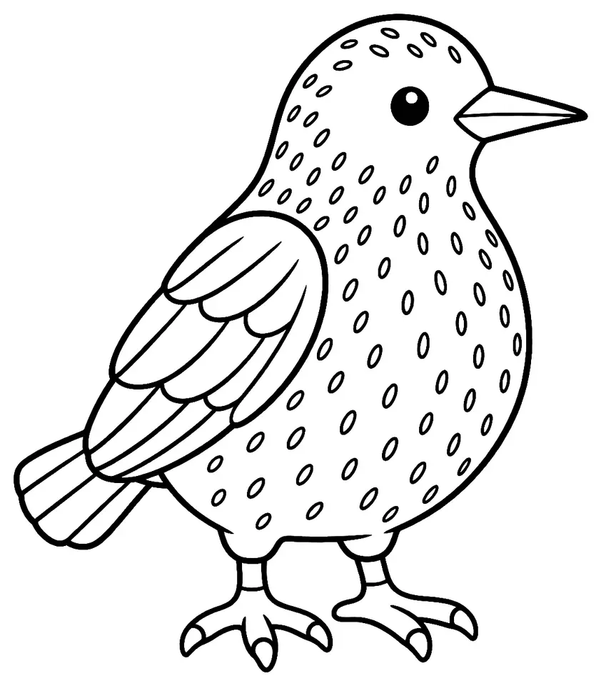 Coloriage de Étourneau sansonnet : dessin au trait noir à colorier