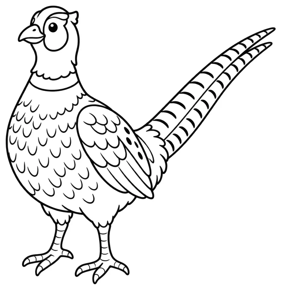 Coloriage de Faisan de Colchide : dessin au trait noir à colorier