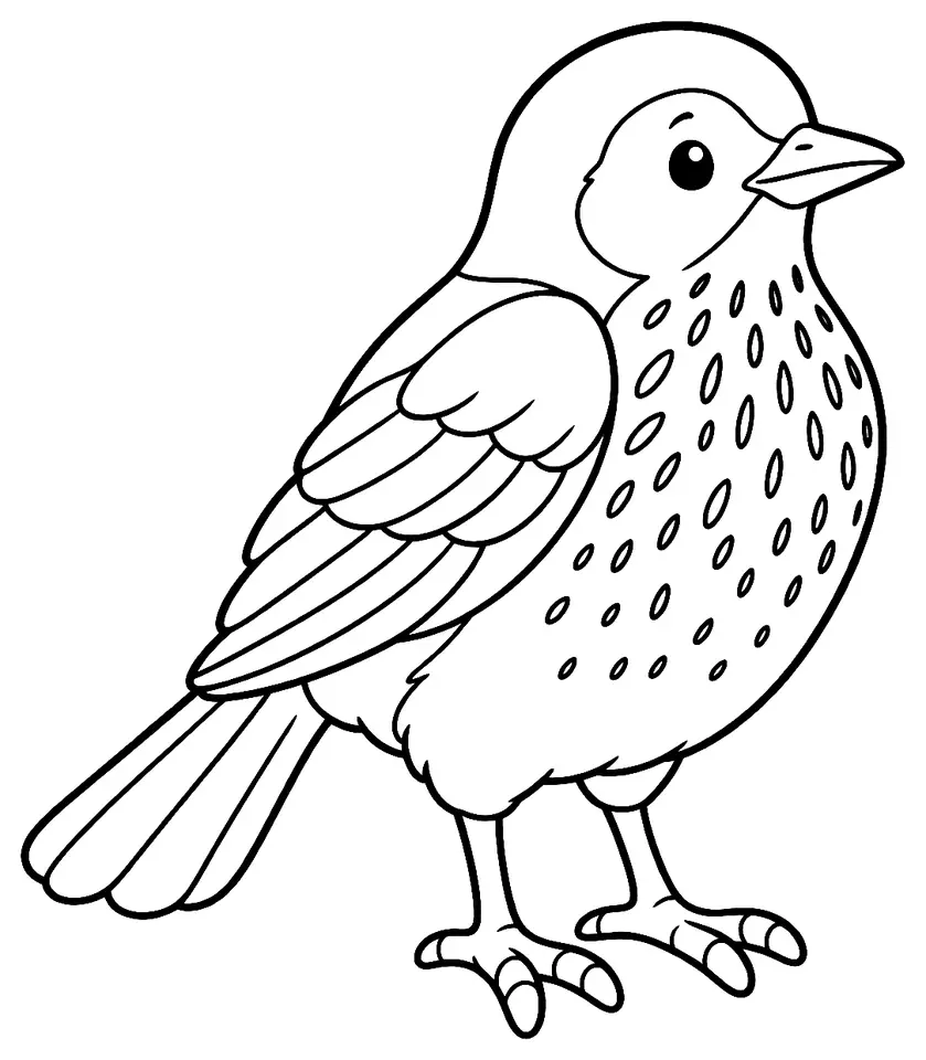 Coloriage de Grive litorne : dessin au trait noir à colorier