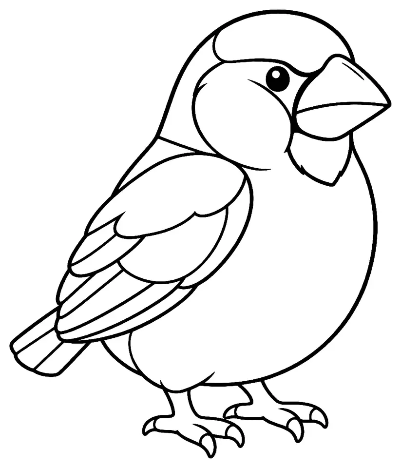 Coloriage de Grosbec casse-noyaux : dessin au trait noir à colorier