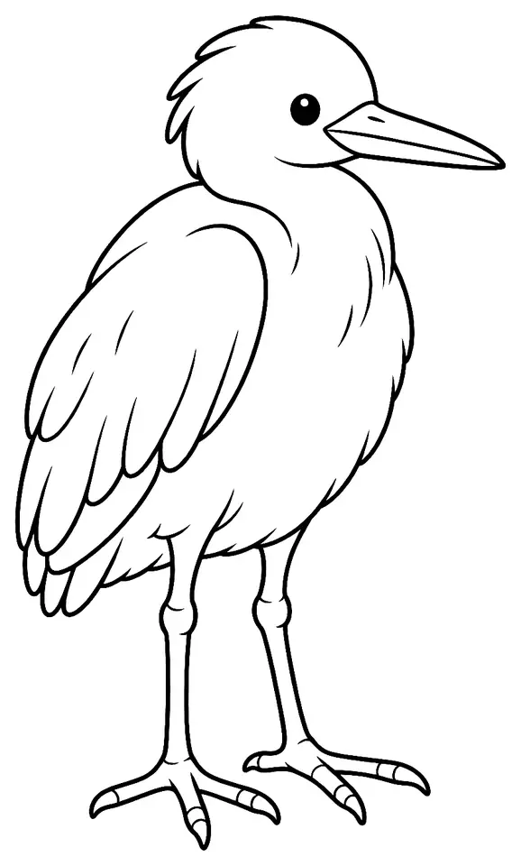 Coloriage de Héron garde-bœufs : dessin au trait noir à colorier