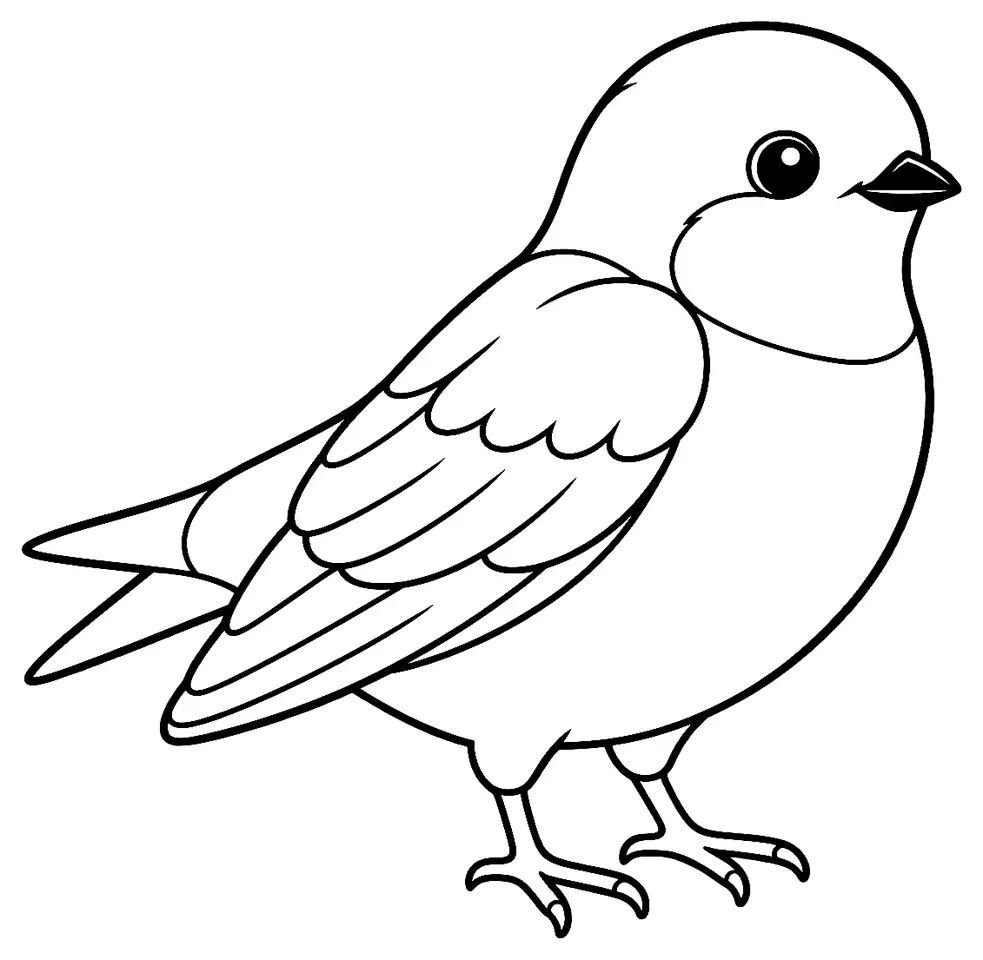 Coloriage de Hirondelle de fenêtre : dessin au trait noir à colorier