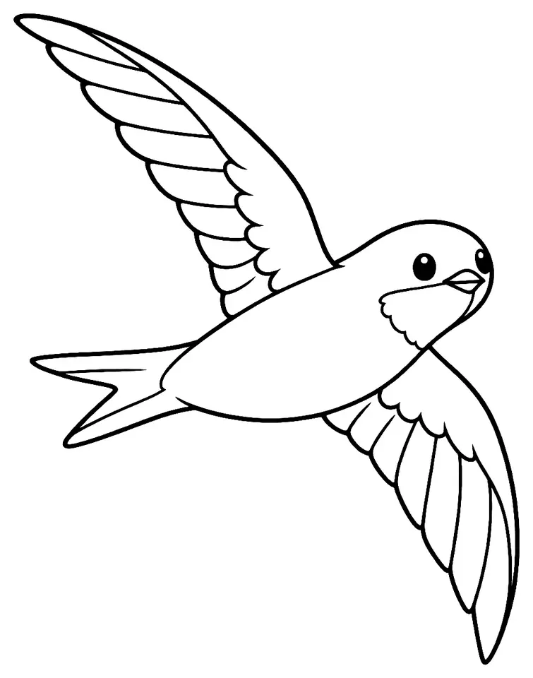 Coloriage de Martinet noir : dessin au trait noir à colorier