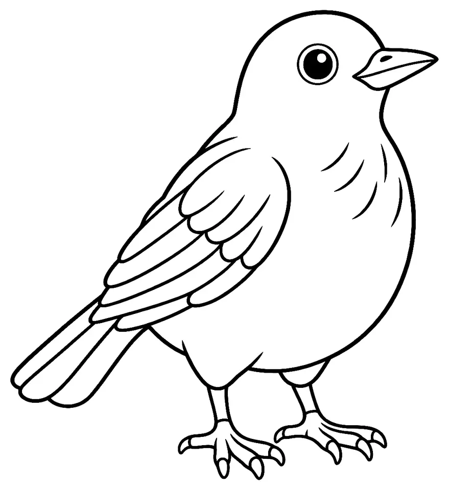 Coloriage de Merle noir : dessin au trait noir à colorier