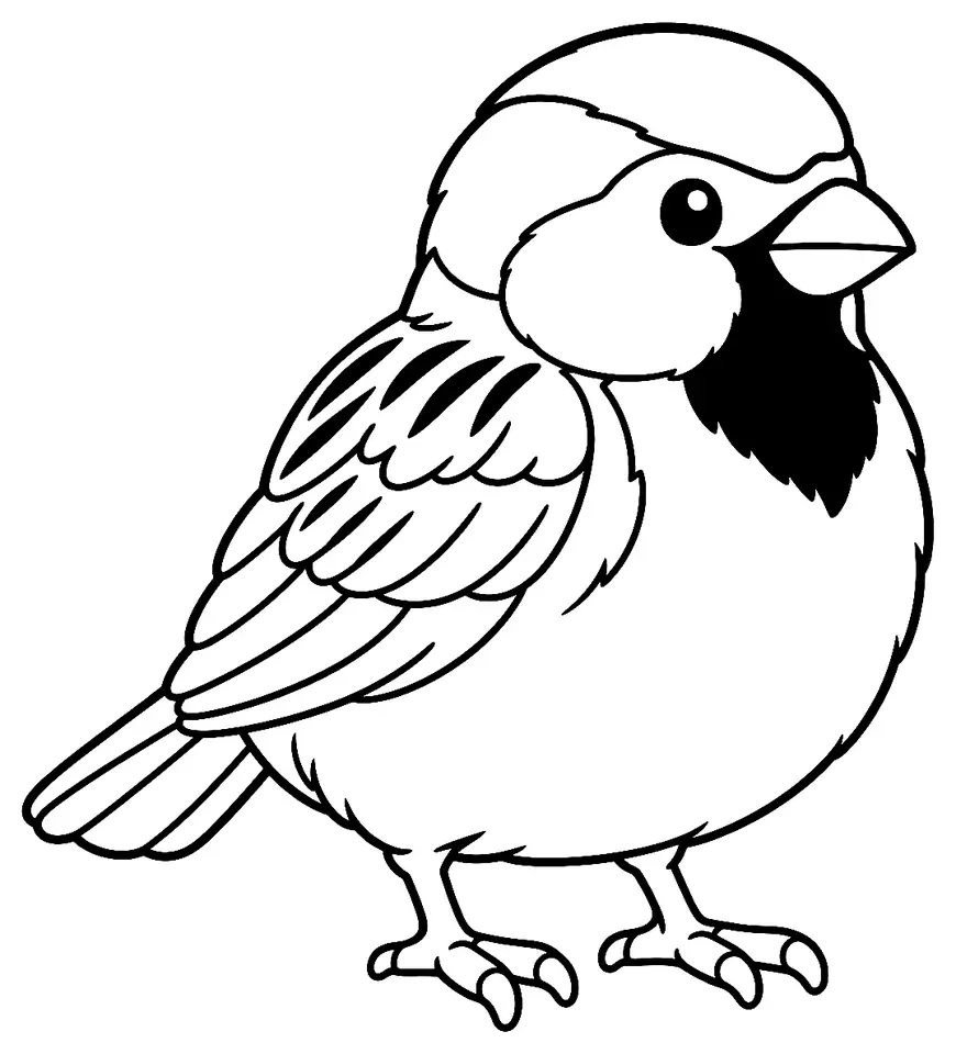 Coloriage de Moineau domestique : dessin au trait noir à colorier