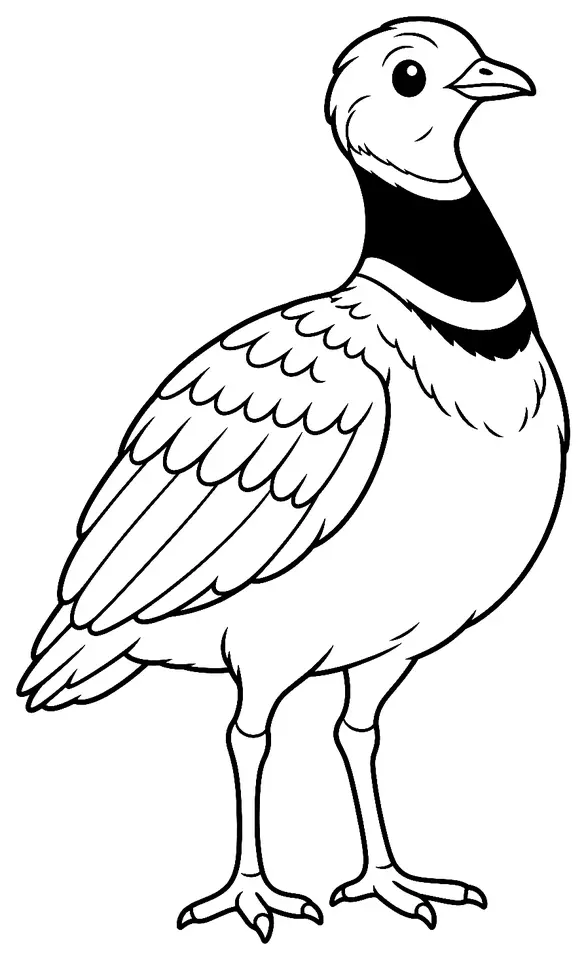 Coloriage de Outarde canepetière : dessin au trait noir à colorier