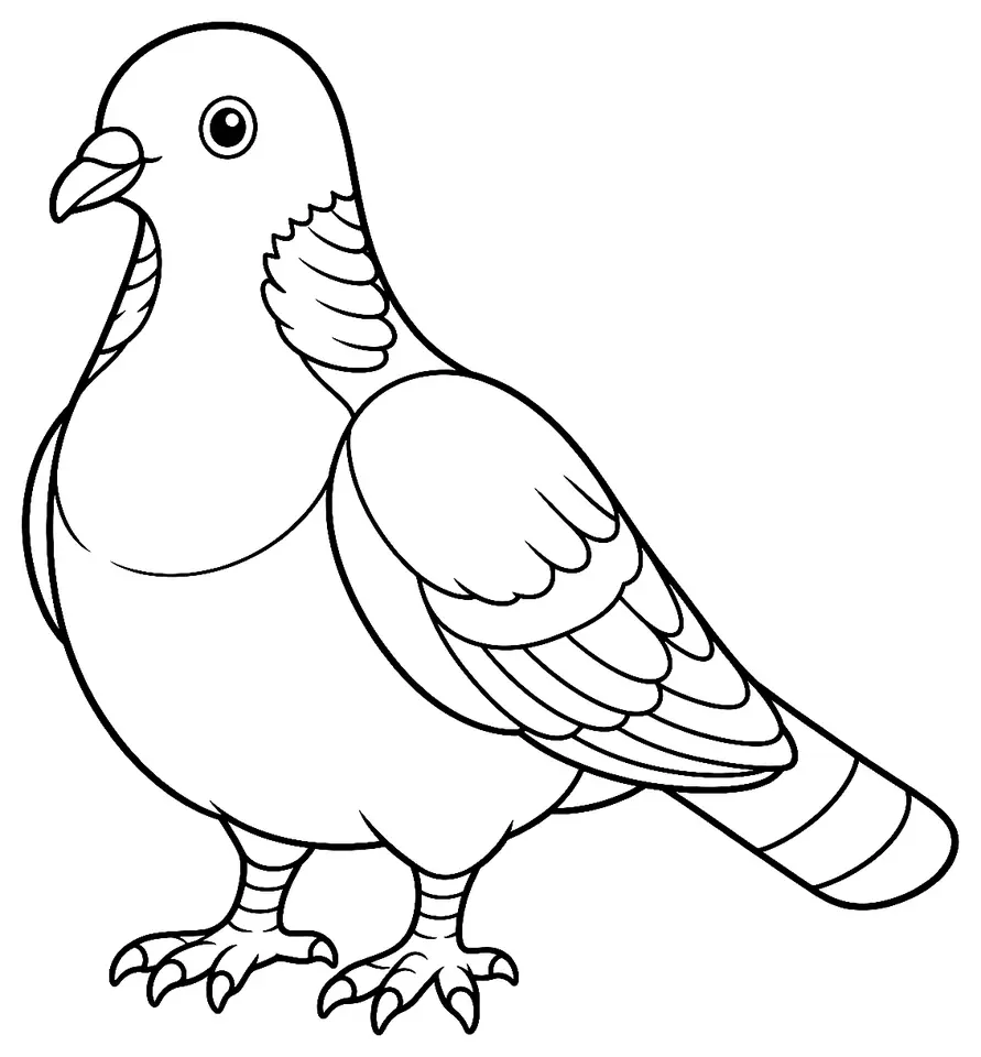 Coloriage de Pigeon ramier : dessin au trait noir à colorier