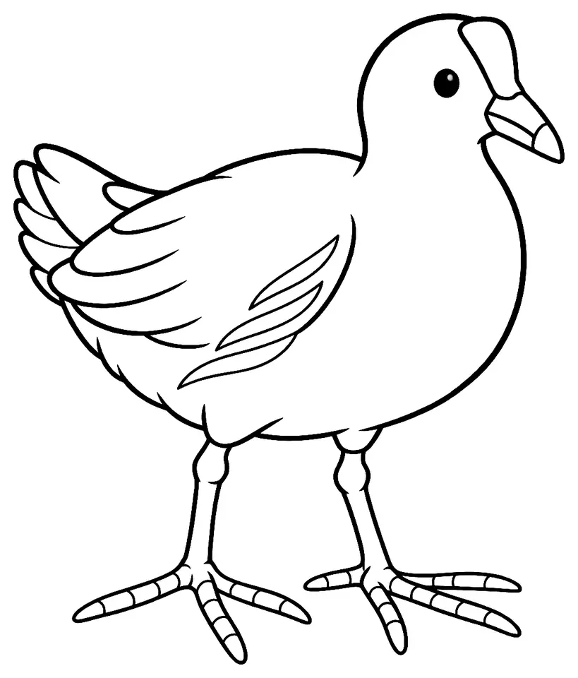 Coloriage de Poule d’eau : dessin au trait noir à colorier