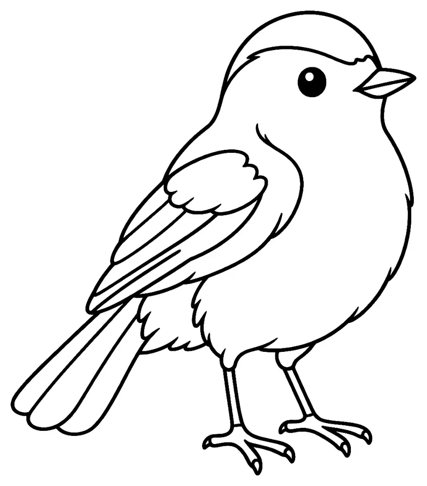 Coloriage de Rougequeue noir : dessin au trait noir à colorier