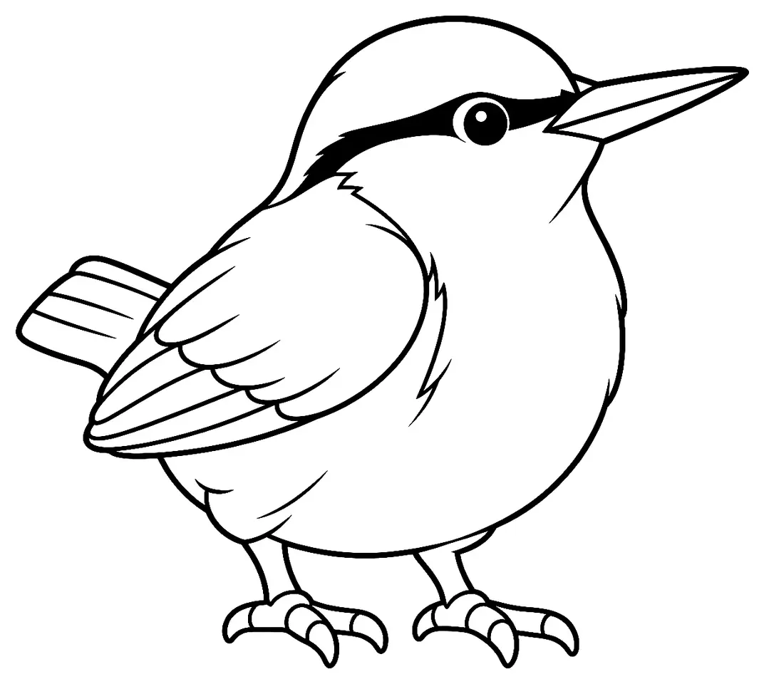 Coloriage de Sittelle torchepot : dessin au trait noir à colorier