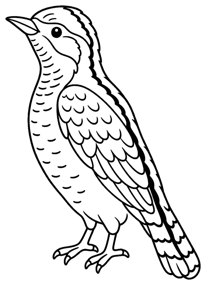 Coloriage de Torcol fourmilier : dessin au trait noir à colorier