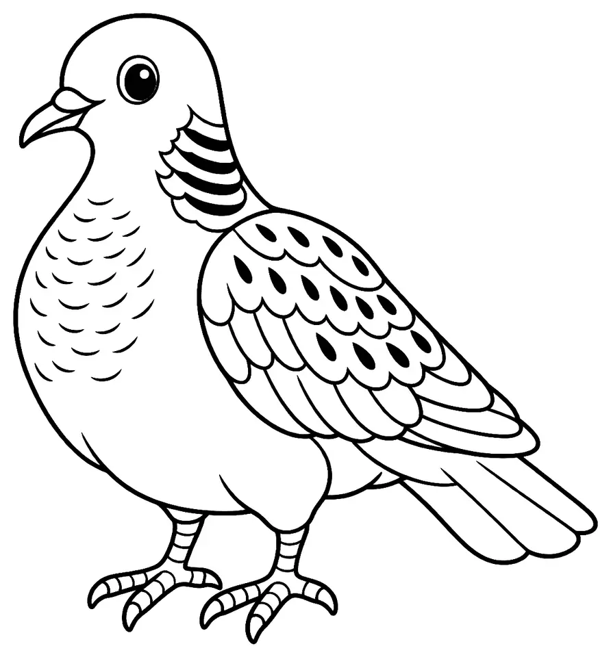 Coloriage de Tourterelle des bois : dessin au trait noir à colorier