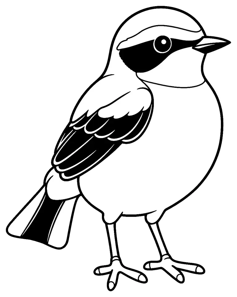 Coloriage de Traquet motteux : dessin au trait noir à colorier