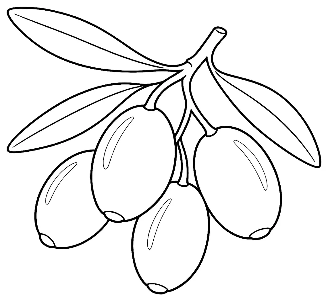 Coloriage de Aglandau (olive) : dessin au trait noir à colorier