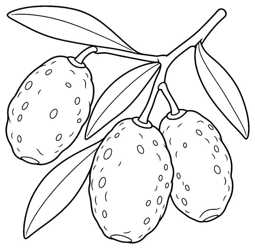 Coloriage de Amellau (olive) : dessin au trait noir à colorier