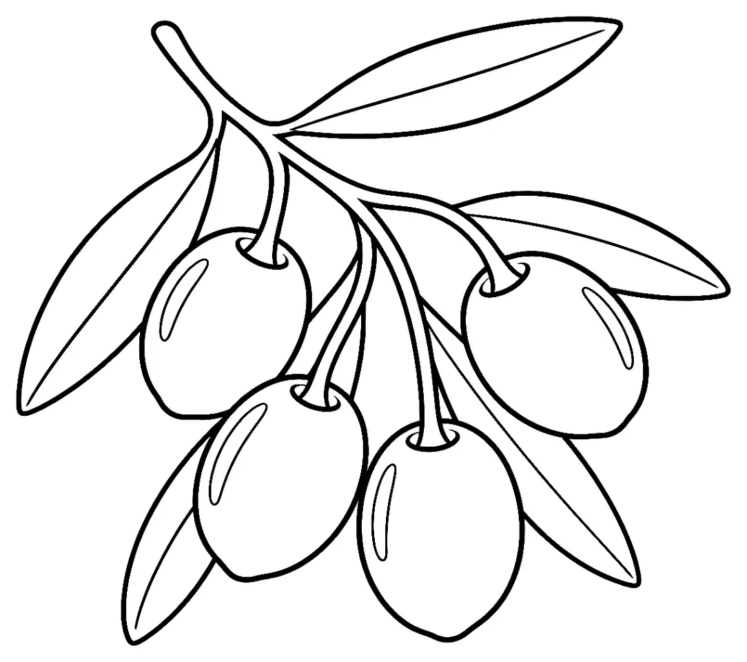 Coloriage de Arbequina (olive) : dessin au trait noir à colorier