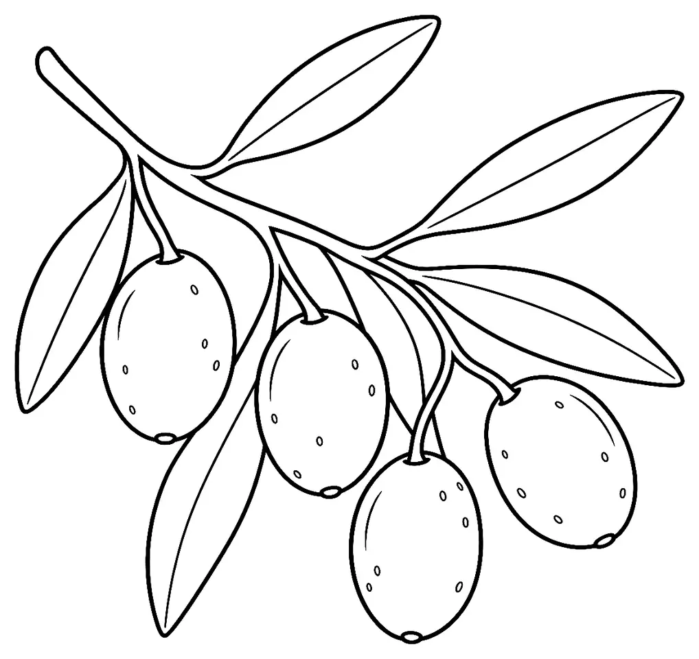Coloriage de Bosana (olive) : dessin au trait noir à colorier