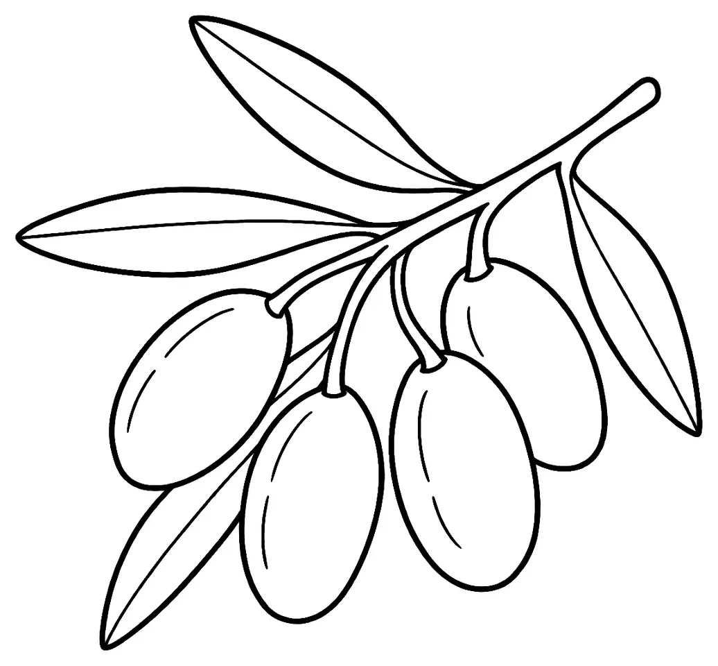 Coloriage de Cailletier (olive) : dessin au trait noir à colorier
