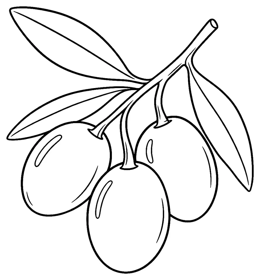 Coloriage de Grossane (olive) : dessin au trait noir à colorier