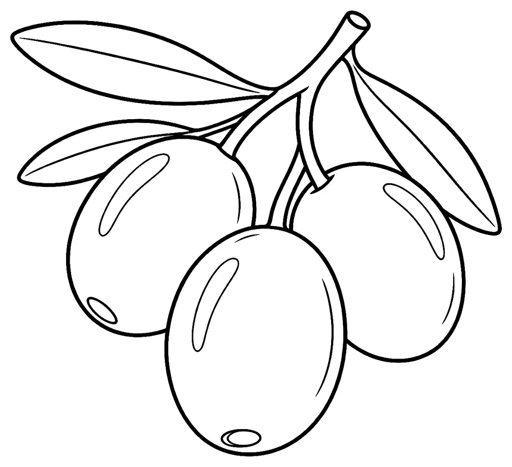 Coloriage de Nocellara del Belice (olive) : dessin au trait noir à colorier