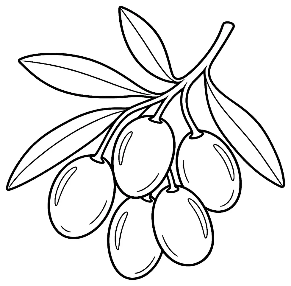 Coloriage de Olives noires de la vallée des Baux-de-Provence : dessin au trait noir à colorier