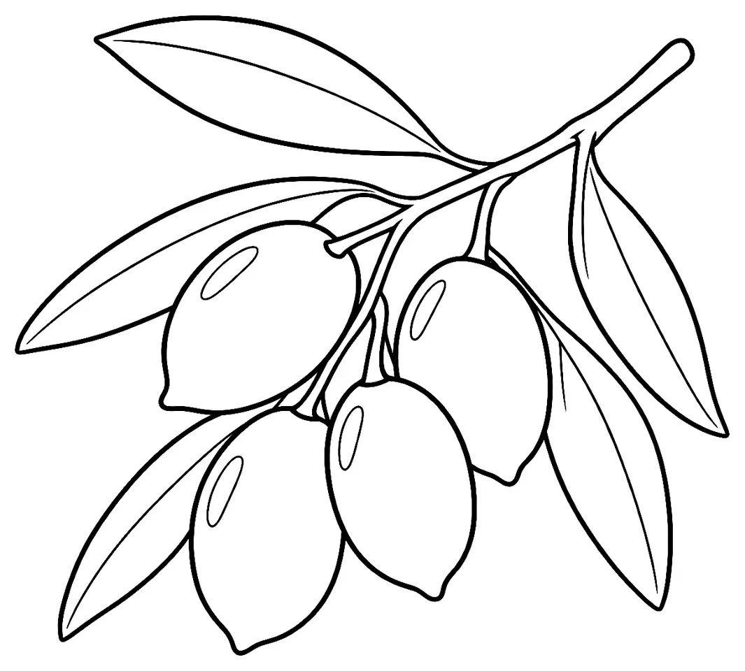 Coloriage de Olivière (olive) : dessin au trait noir à colorier