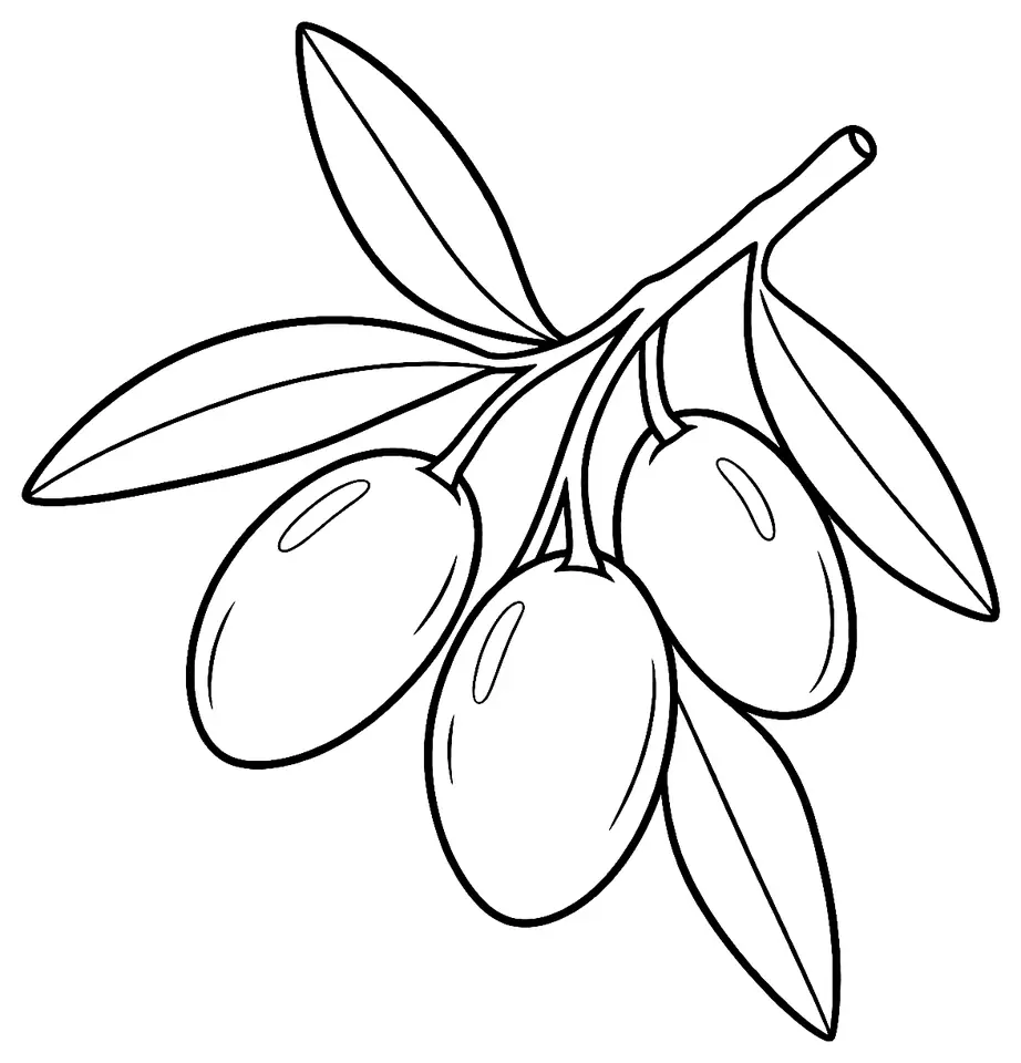 Coloriage de Picholine (olive) : dessin au trait noir à colorier
