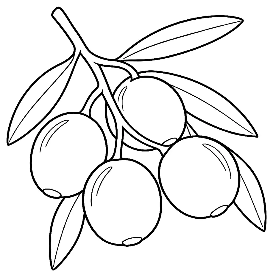Coloriage de Verdale-de-l’Hérault (olive) : dessin au trait noir à colorier