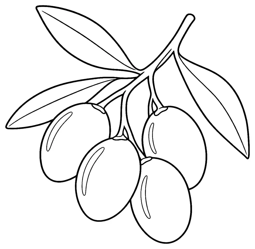 Coloriage de Verdale des Pyrénées-Orientales (olive) : dessin au trait noir à colorier