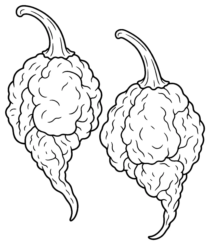 Coloriage de Carolina Reaper : dessin au trait noir à colorier