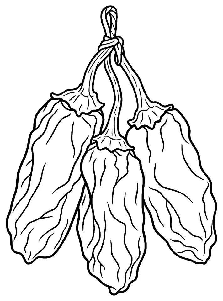 Coloriage de Piment choricero : dessin au trait noir à colorier